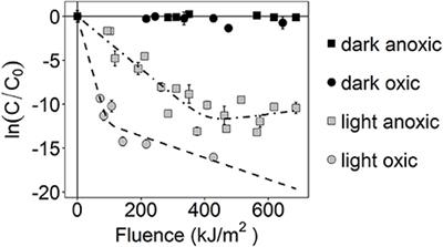 Transcriptional Response of Staphylococcus aureus to Sunlight in Oxic and Anoxic Conditions